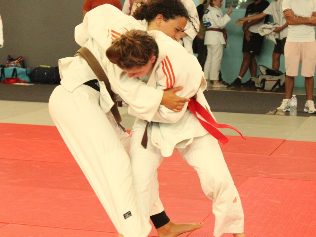 Image de l'actu 'Régional Passage Katas et Shiai Vinon sur verdon'