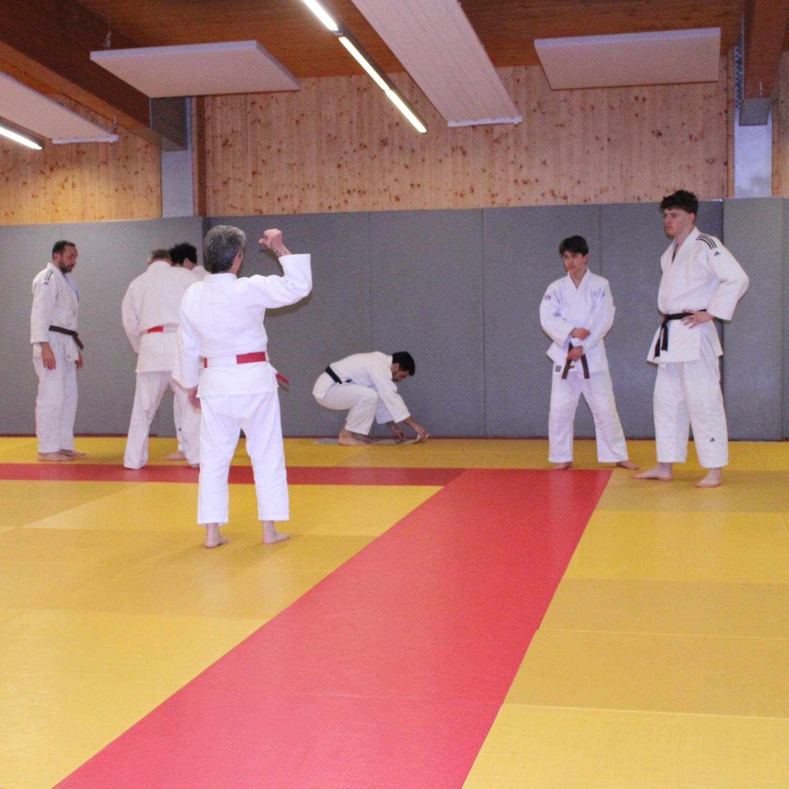Stage kata Forcalquier 08/02/2026