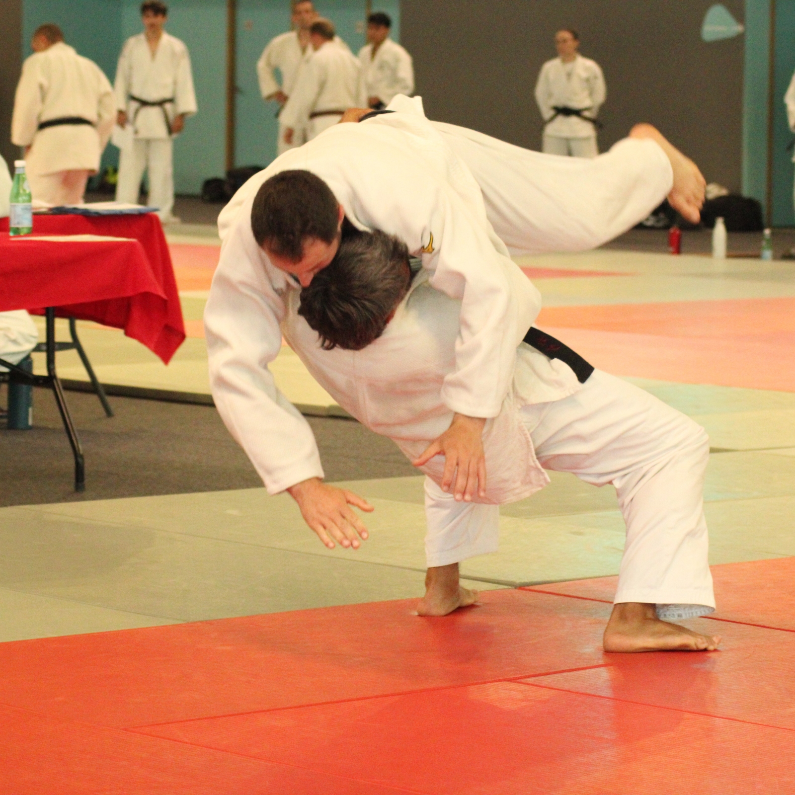Passage grades et Shiai 13-14/06/2026  Vinon sur Verdon