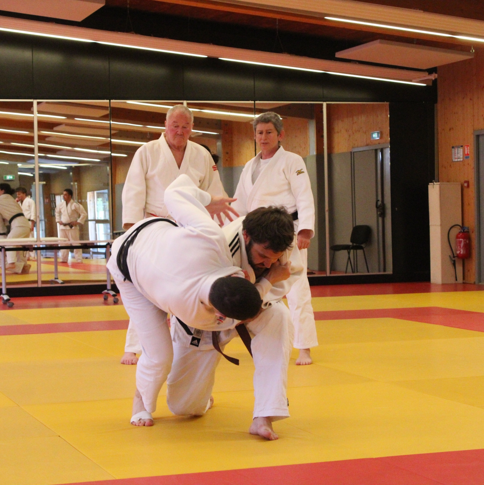 Stage katas Forcalquier 19/05/2024